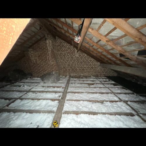 WhatsApp Image 2025-02-25 à 16.16.54_8cf1cf13